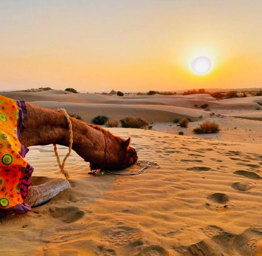 Wild Heritage Desert Camp Hotel Jaisalmer Buitenkant foto